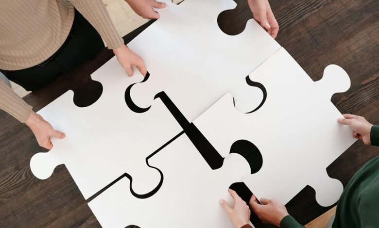 summary of strategic activities